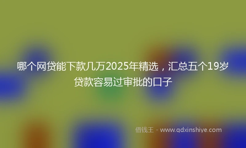 哪个网贷能下款几万2025年精选，汇总五个19岁贷款容易过审批的口子