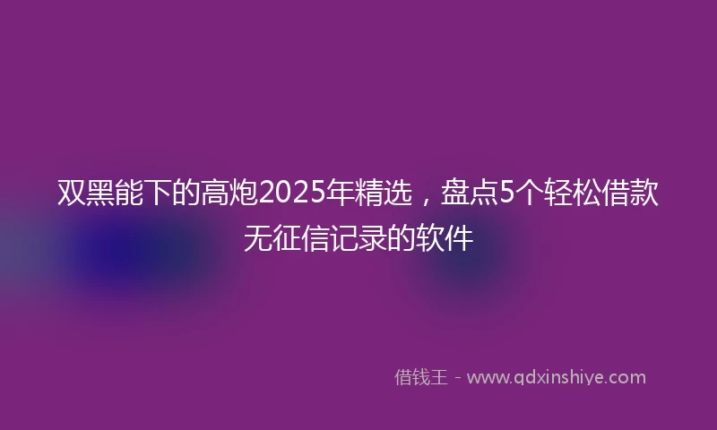 双黑能下的高炮2025年精选，盘点5个轻松借款无征信记录的软件