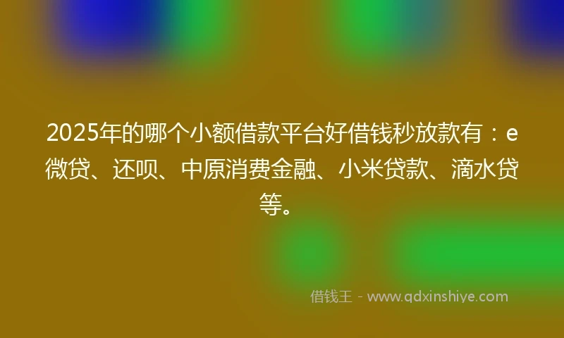 2025年的哪个小额借款平台好借钱秒放款有：e微贷、还呗、中原消费金融、小米贷款、滴水贷等。