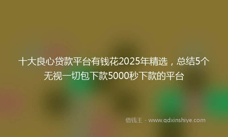 十大良心贷款平台有钱花2025年精选，总结5个无视一切包下款5000秒下款的平台