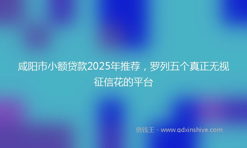 咸阳市小额贷款2025年推荐，罗列五个真正无视征信花的平台