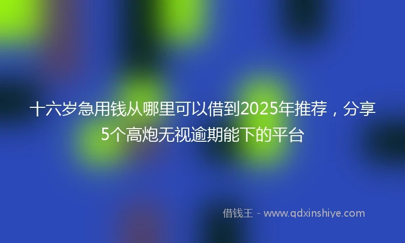 十六岁急用钱从哪里可以借到2025年推荐，分享5个高炮无视逾期能下的平台