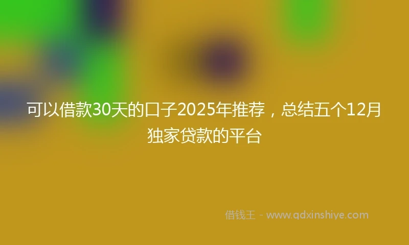 可以借款30天的口子2025年推荐，总结五个12月独家贷款的平台