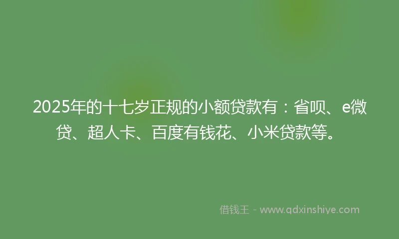 2025年的十七岁正规的小额贷款有：省呗、e微贷、超人卡、百度有钱花、小米贷款等。