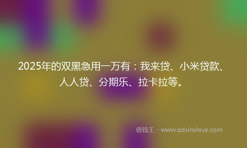 2025年的双黑急用一万有：我来贷、小米贷款、人人贷、分期乐、拉卡拉等。