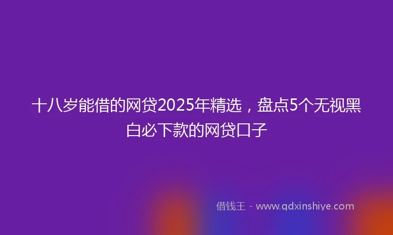 十八岁能借的网贷2025年精选，盘点5个无视黑白必下款的网贷口子