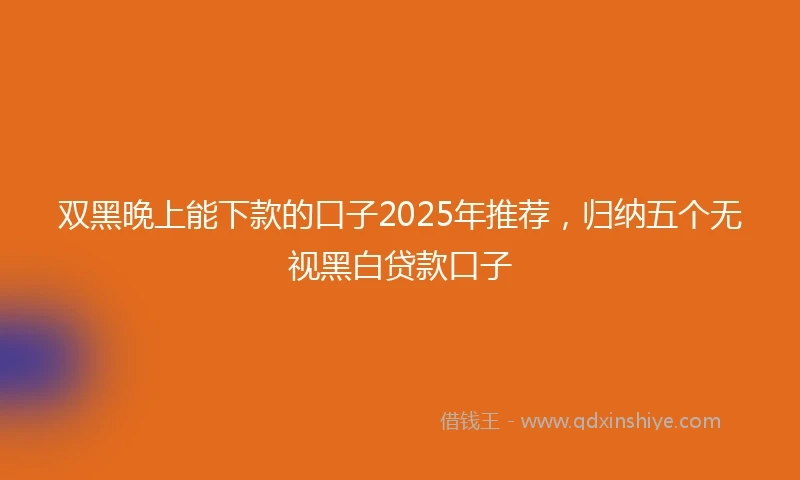 双黑晚上能下款的口子2025年推荐，归纳五个无视黑白贷款口子