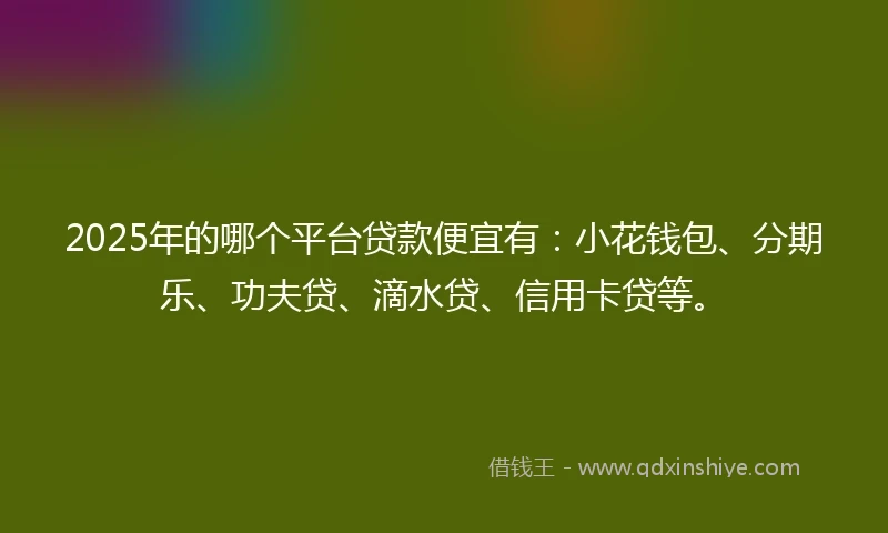 2025年的哪个平台贷款便宜有：小花钱包、分期乐、功夫贷、滴水贷、信用卡贷等。