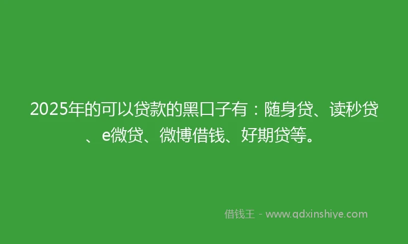 2025年的可以贷款的黑口子有：随身贷、读秒贷、e微贷、微博借钱、好期贷等。