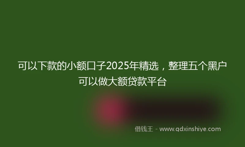 可以下款的小额口子2025年精选，整理五个黑户可以做大额贷款平台