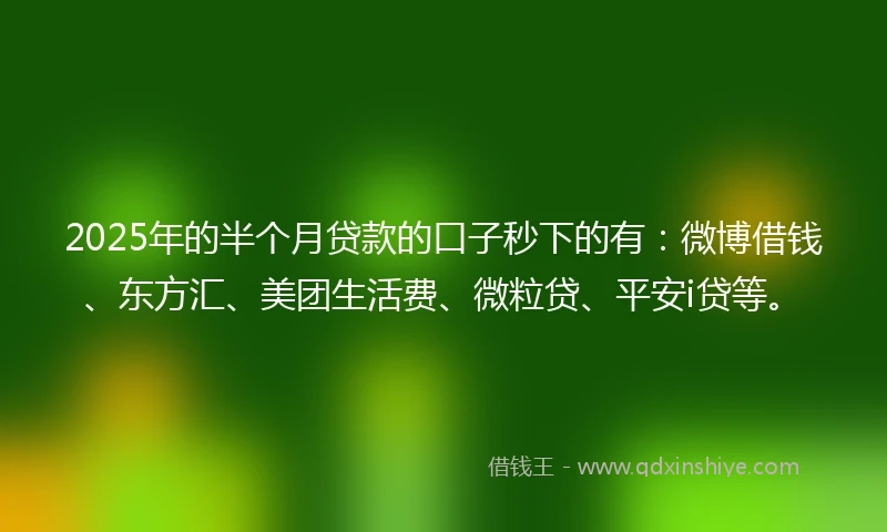2025年的半个月贷款的口子秒下的有：微博借钱、东方汇、美团生活费、微粒贷、平安i贷等。