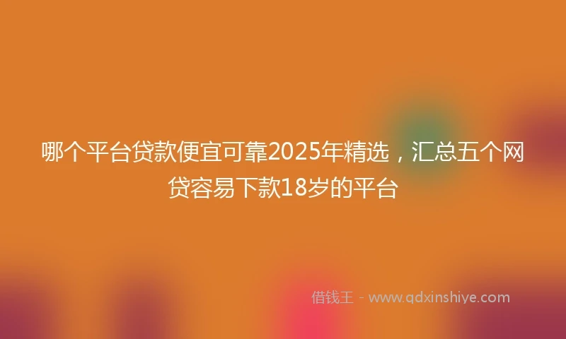 哪个平台贷款便宜可靠2025年精选，汇总五个网贷容易下款18岁的平台