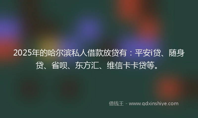 2025年的哈尔滨私人借款放贷有：平安i贷、随身贷、省呗、东方汇、维信卡卡贷等。