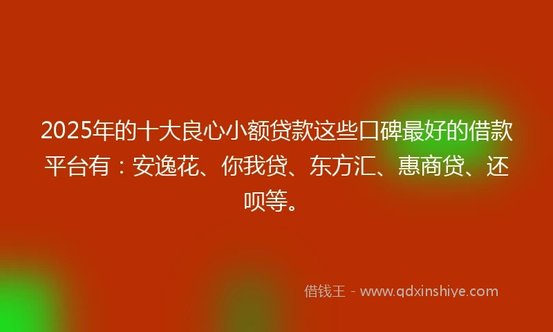 2025年的十大良心小额贷款这些口碑最好的借款平台有：安逸花、你我贷、东方汇、惠商贷、还呗等。