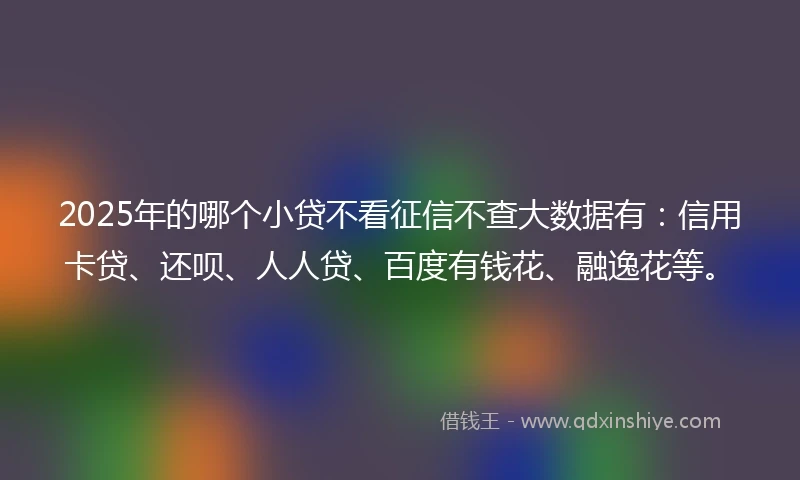 2025年的哪个小贷不看征信不查大数据有：信用卡贷、还呗、人人贷、百度有钱花、融逸花等。