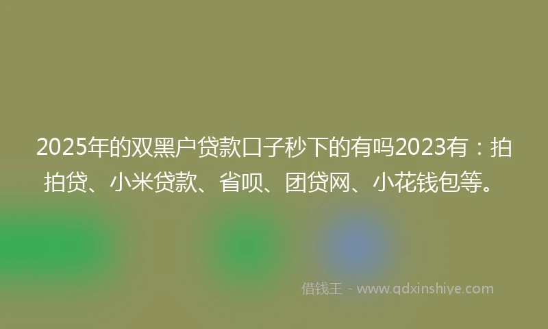 2025年的双黑户贷款口子秒下的有吗2023有：拍拍贷、小米贷款、省呗、团贷网、小花钱包等。