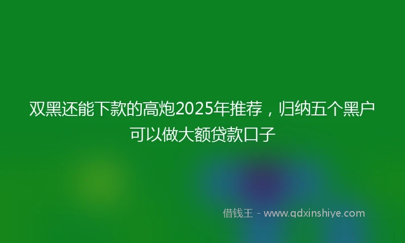 双黑还能下款的高炮2025年推荐，归纳五个黑户可以做大额贷款口子