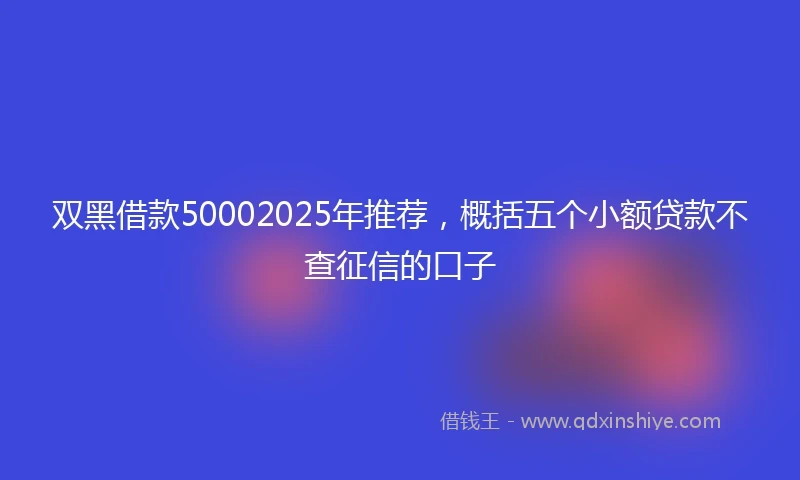 双黑借款50002025年推荐，概括五个小额贷款不查征信的口子