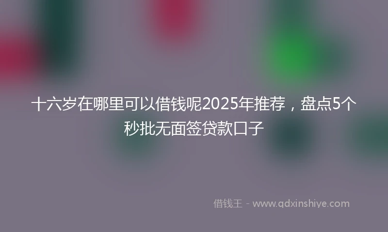 十六岁在哪里可以借钱呢2025年推荐，盘点5个秒批无面签贷款口子