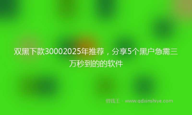 双黑下款30002025年推荐,分享5个黑户急需三万秒到的的软件
