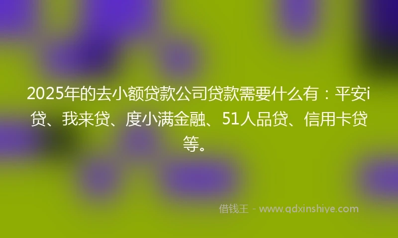 2025年的去小额贷款公司贷款需要什么有：平安i贷、我来贷、度小满金融、51人品贷、信用卡贷等。