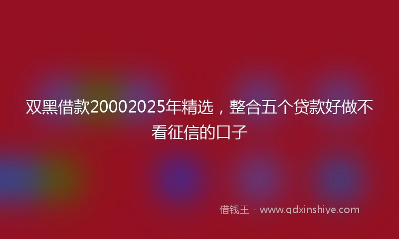 双黑借款20002025年精选,整合五个贷款好做不看征信的口子