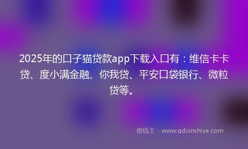 2025年的口子猫贷款app下载入口有：维信卡卡贷、度小满金融、你我贷、平安口袋银行、微粒贷等。