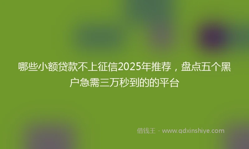哪些小额贷款不上征信2025年推荐,盘点五个黑户急需三万秒到的的平台