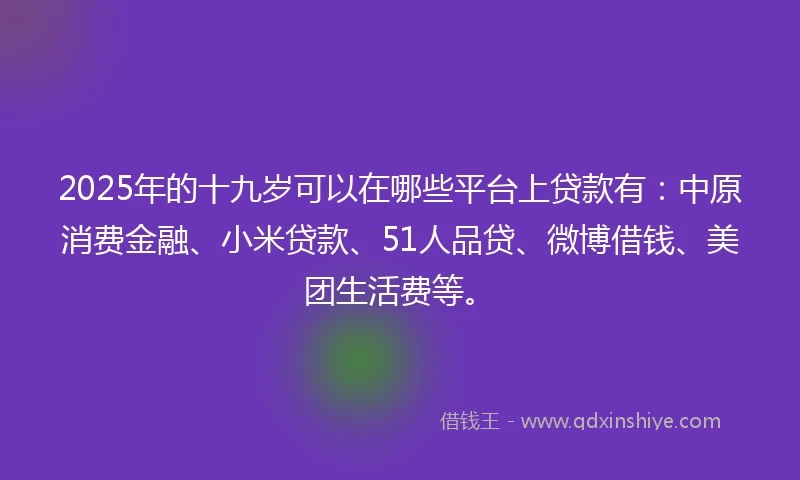 2025年的十九岁可以在哪些平台上贷款有：中原消费金融、小米贷款、51人品贷、微博借钱、美团生活费等。