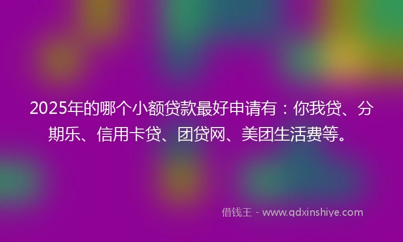 2025年的哪个小额贷款最好申请有：你我贷、分期乐、信用卡贷、团贷网、美团生活费等。