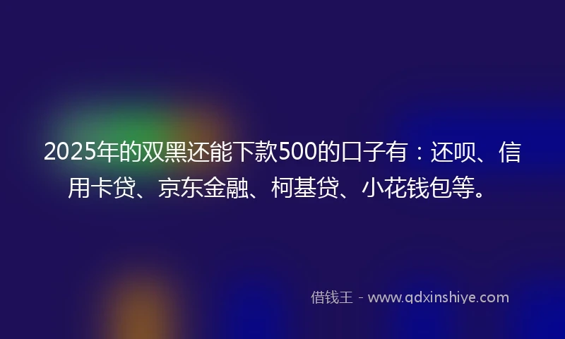 2025年的双黑还能下款500的口子有：还呗、信用卡贷、京东金融、柯基贷、小花钱包等。