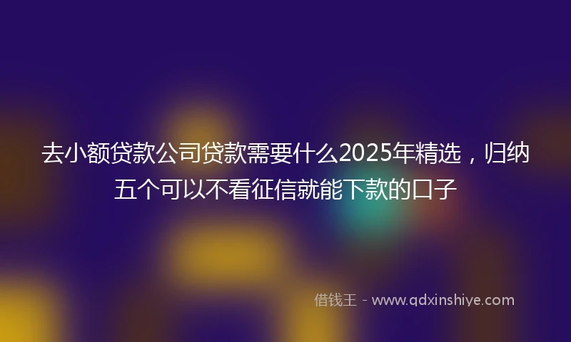 去小额贷款公司贷款需要什么2025年精选，归纳五个可以不看征信就能下款的口子