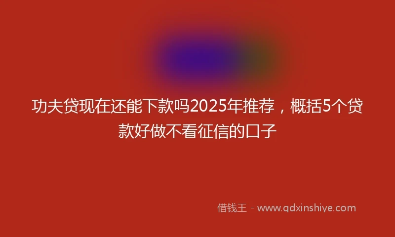 功夫贷现在还能下款吗2025年推荐，概括5个贷款好做不看征信的口子