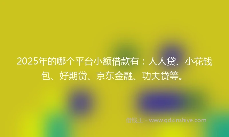 2025年的哪个平台小额借款有：人人贷、小花钱包、好期贷、京东金融、功夫贷等。