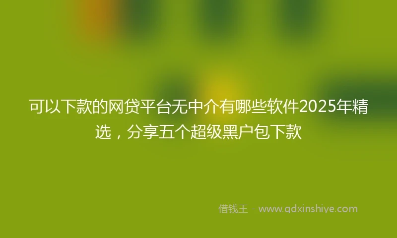 可以下款的网贷平台无中介有哪些软件2025年精选，分享五个超级黑户包下款
