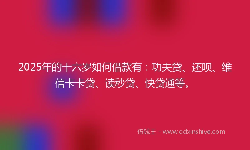 2025年的十六岁如何借款有:功夫贷、还呗、维信卡卡贷、读秒贷、快贷通等。