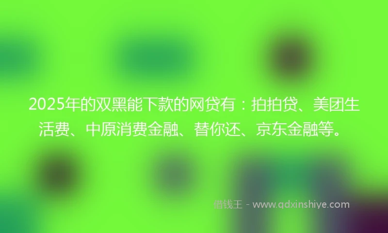 2025年的双黑能下款的网贷有：拍拍贷、美团生活费、中原消费金融、替你还、京东金融等。