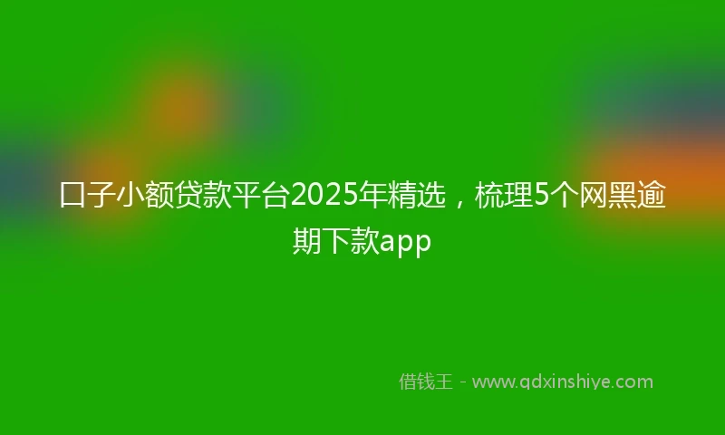 口子小额贷款平台2025年精选，梳理5个网黑逾期下款app