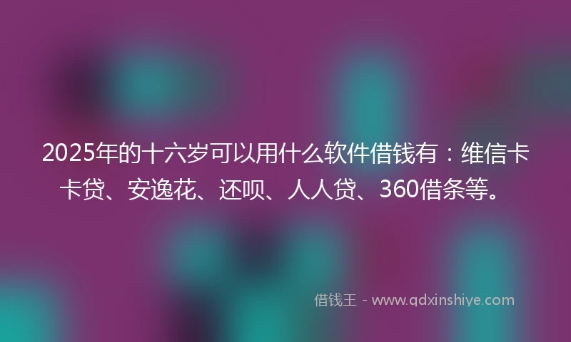 2025年的十六岁可以用什么软件借钱有：维信卡卡贷、安逸花、还呗、人人贷、360借条等。