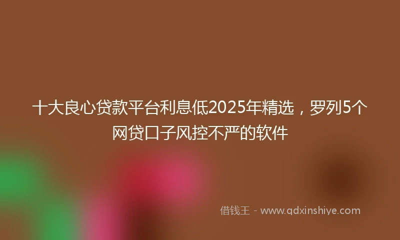 十大良心贷款平台利息低2025年精选，罗列5个网贷口子风控不严的软件