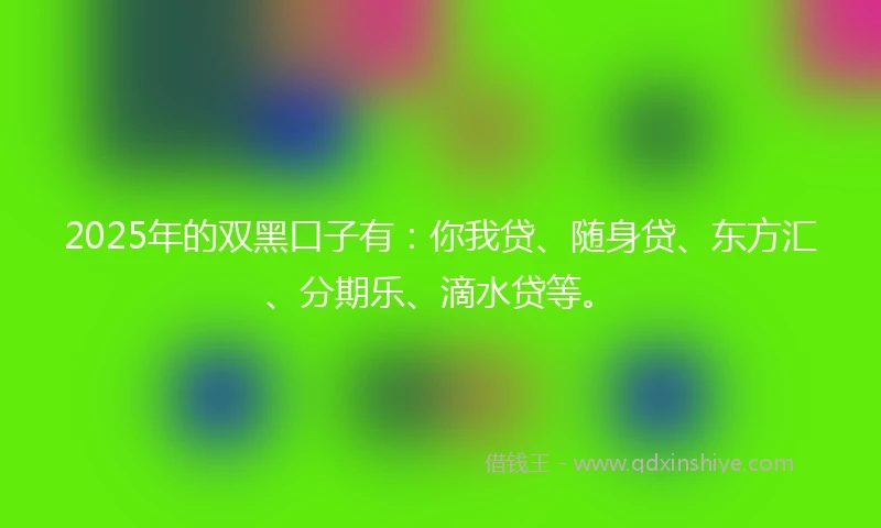 2025年的双黑口子有：你我贷、随身贷、东方汇、分期乐、滴水贷等。