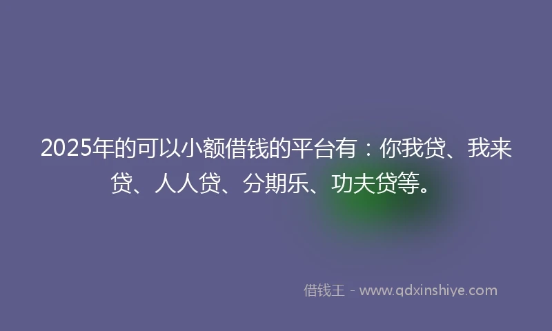 2025年的可以小额借钱的平台有：你我贷、我来贷、人人贷、分期乐、功夫贷等。