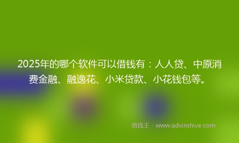 2025年的哪个软件可以借钱有：人人贷、中原消费金融、融逸花、小米贷款、小花钱包等。