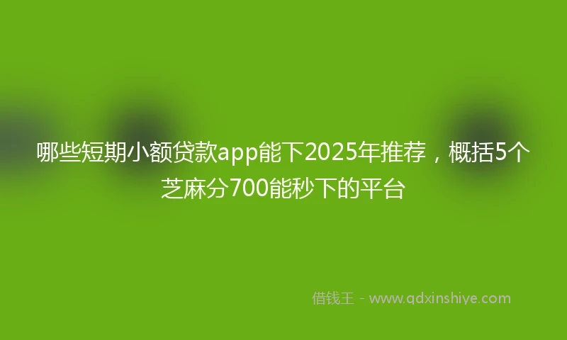 哪些短期小额贷款app能下2025年推荐，概括5个芝麻分700能秒下的平台