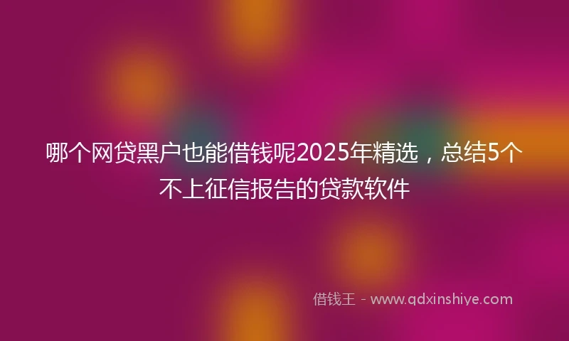 哪个网贷黑户也能借钱呢2025年精选,总结5个不上征信报告的贷款软件
