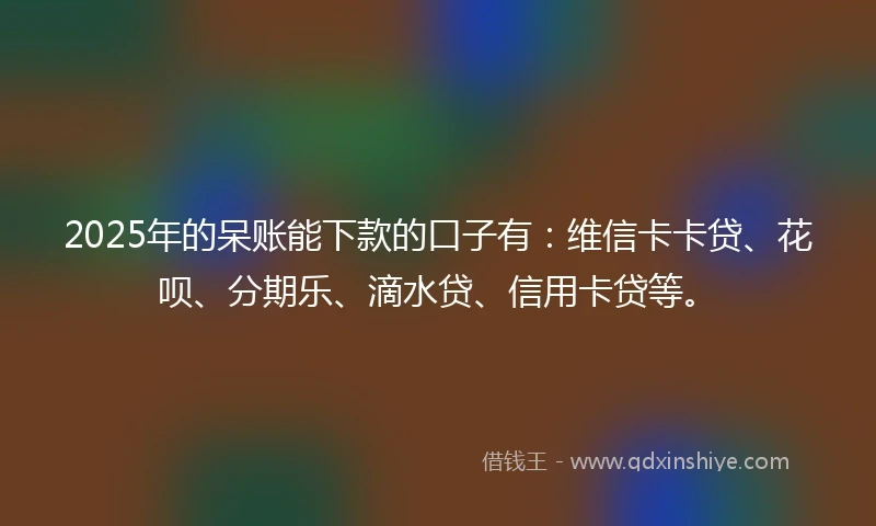 2025年的呆账能下款的口子有：维信卡卡贷、花呗、分期乐、滴水贷、信用卡贷等。