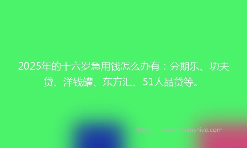 2025年的十六岁急用钱怎么办有：分期乐、功夫贷、洋钱罐、东方汇、51人品贷等。