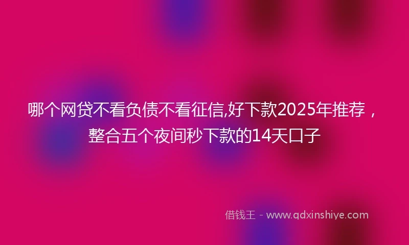 哪个网贷不看负债不看征信,好下款2025年推荐,整合五个夜间秒下款的14天口子