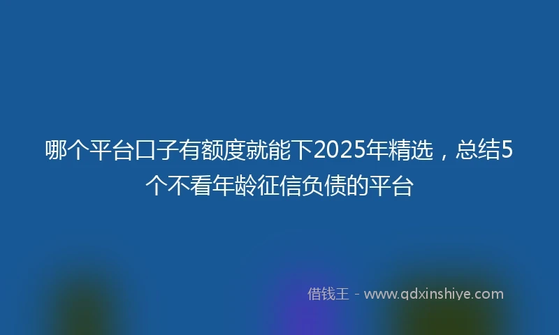 哪个平台口子有额度就能下2025年精选，总结5个不看年龄征信负债的平台