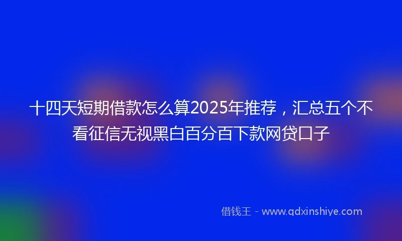 十四天短期借款怎么算2025年推荐，汇总五个不看征信无视黑白百分百下款网贷口子